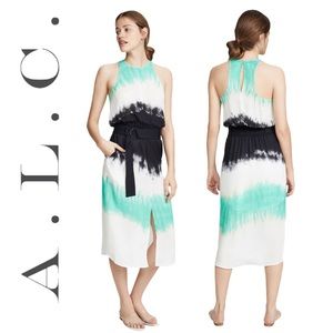 A.L.C. Tallulah Tie Dye Silk Women's Dress